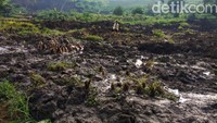Tidak ada korban jiwa akibat bencana longsor ini.