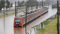 Seperti diketahui, hujan deras yang mengguyur wilayah Sao Paulo, Brasil, beberapa waktu lalu mengakibatkan kawasan itu terendam banjir pada Senin (10/2) waktu setempat.