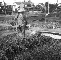 Saya bertemu mereka hampir 10 tahun yang lalu, pada waktu itu, kesehatan suaminya masih baik. Setiap sore, dia membawa ember air untuk menyirami sayuran sementara dia duduk di sebelahnya dan mengambilnya. Mereka saling tertawa dan berbagi banyak percakapan, ungkap sang fotografer, Nguyen Vu Phuoc seperti dilansir dari Boredpanda. Foto: dok. Fotografer Nguyen Vu Phuoc