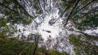 Itulah sedikit cerita tentang benua kedelapan, Zealandia. Apabila penasaran, mungkin traveler harus liburan langsung ke Selandia Baru dan singgah ke Stewart Island (NSW Department of Planning, Industry and Environment)