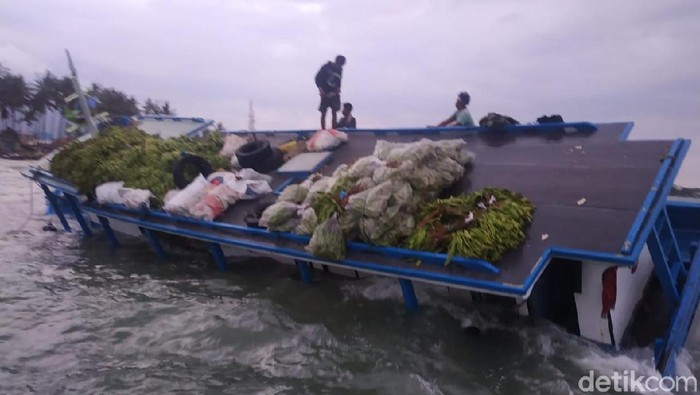 Kapal KM Sunjaya 2 bermuatan pisang hingga kelapa kandas di perairan Anyer
