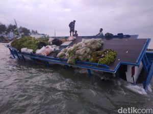 4 Hari Kandas di Laut Anyer, Kapal Muatan Pisang-Kelapa Dievakuasi