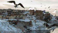 Suasana tepian Sungai Tigris di Mosul yang diselimuti salju. Tampak pula sejumlah burung camar yang lalu lalang (Zaid Al-Obeidi/AFP)