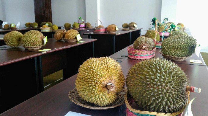 durian