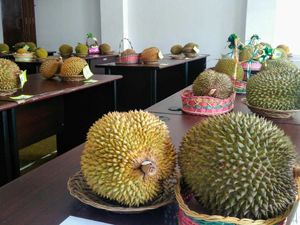 Siap-siap! Purworejo Gelar Festival Durian Sebentar Lagi