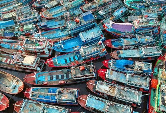 Ditjen Perhubungan Laut
