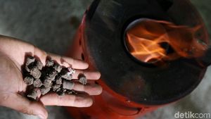 PLN Jeranjang Lombok Kembangkan Energi Baru Terbarukan