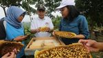 Mengintip Budidaya Lebah Langsung dari Alam
