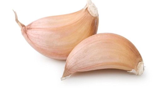 bawang putih tunggal