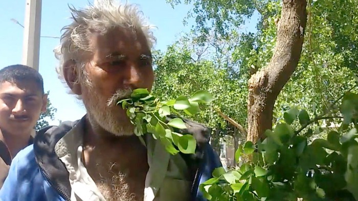 pria pakistan hanya makan daun dan kayu