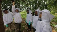 Anak usaha RLU, PT Lestari Asri Jaya (LAJ) dan TNBT menggelar pelatihan budidaya lebah madu sebagai pagar alami untuk melindungi gajahSumatera, sekaligus meningkatkan kesejahteraan masyarakat sekitar hutan dari hasil panen madu dan produk turunannya. Foto: dok. RLU