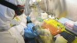 COVID-19 Resmi jadi Nama Panggilan Virus Corona
