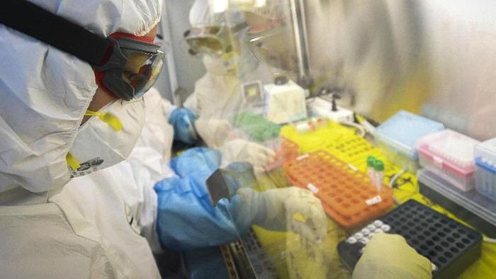 COVID-19 Resmi jadi Nama Panggilan Virus Corona WHO resmi menamai virus Corona yang menewaskan 1.115 orang. Virus mematikan yang pertama kali diidentifikasi di China pada 31 Desember itu dinamai COVID-19.