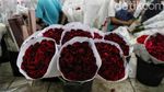 Berburu Bunga di Pasar Rawa Belong Jelang Hari Kasih Sayang