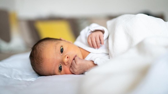 bayi bayi