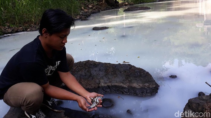 Pencemaran di Sungai Ngrancah Kulon Progo