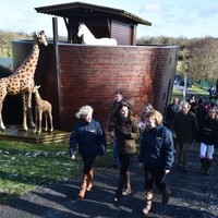 Kate Middleton menyambangi Ark Open Farm, sebuah peternakan terbuka, di Newtonards, dekat Belfast, Irlandia Utara, Rabu (12/2/2020). Kehadiran istri Pangeran William itu adalah bagian dari kunjungan dadakan selama sehari di negara yang beradai di bawah naungan Britania Raya. (Foto: Charles McQuillan/Getty Images)
