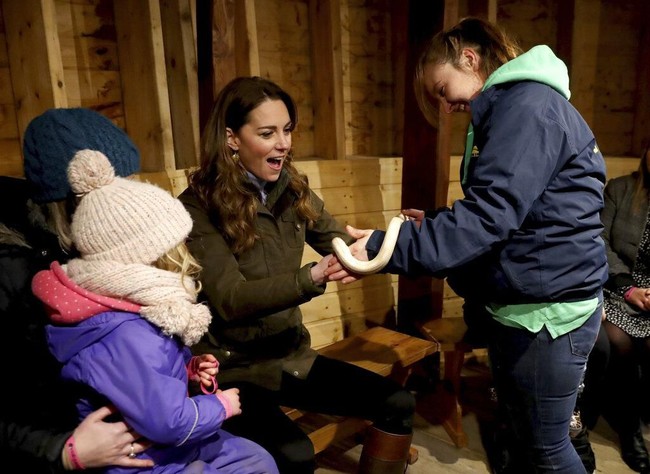 Selain berbincang dengan staf dan pengunjung peternakan, Kate Middleton juga sempat berinteraksi dengan binatang-binatang di sana. Sang Duchess of Cambridge bahkan memberanikan diri memegang ular untuk pertama kalinya. Kamu yakin ini tidak apa-apa? Ya Tuhan, kata Kate seperti dikutip Mirror ketika staf menyodorkannya ular kuning bernama Sophie. (Foto: Liam McBurney/PA via AP)