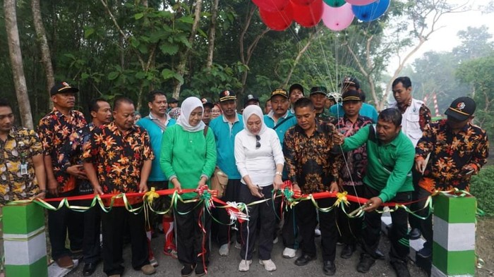 adv pemkab bojonegoro
