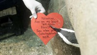 Surat cinta berbentuk hati itu pun dibawa kemana-mana oleh para penguin tersebut. Seperti diketahui, penguin merupakan hewan yang monogami. Hewan itu diketahui hanya kawin dengan pasangan yang sama sepanjang waktu. Keduanya pun akan merawat telur dan membesarkan anak-anak mereka bersama.