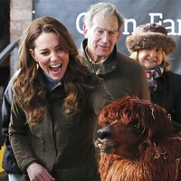 Menurut  Sophie Wrigglesworth, staf yang mendampingi Kate memegang ular, aksi tersebut spontan tanpa direncakanakan. Sebelumnya, ia sudah mendapat info bahwa Kate Middleton takut ular. Tapi dia bilang tidak masalah dan ingin melihat ular, beber Sophie. (Foto: Liam McBurney/PA via AP)