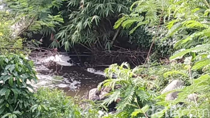 Ekosistem sungai di Blitar terancam. Menurut Dinas Lingkungan Hidup (DLH) Pemkab Blitar, 50 persen lebih sungai yang mengalir di Blitar tercemar.