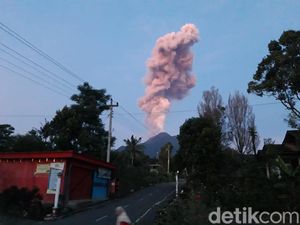 Gemuruh Merapi Erupsi Terdengar di Setabelan, Kampung 3,5 Km dari Puncak