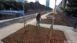 Naturalisasi Sungai Kanal Banjir Barat Instagramable Banget