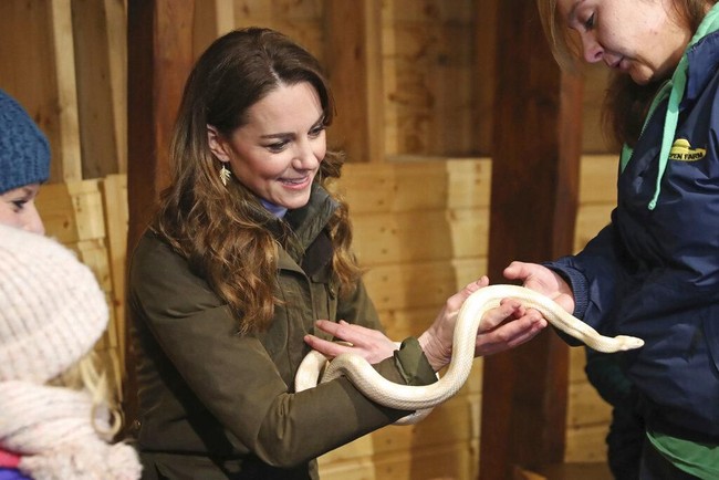 Ada cara tertentu untuk memegangnya? Wow, lihat dia, seru Kate saat akhirnya ular tersebut melata di tangannya. Kulitnya sangat indah sekali. Ini pertama kalinya saya memegang ular seperti itu. Keren sekali, ungkap ibu tiga anak itu. (Foto: Liam McBurney/PA via AP)