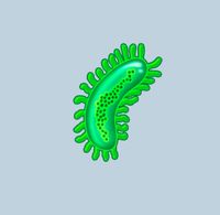 Bentuk emoji virus ini diperdebatkan banyak ilmuan.