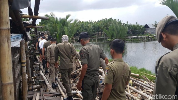Ribuan Ternak Babi di Makassar Ditertibkan.