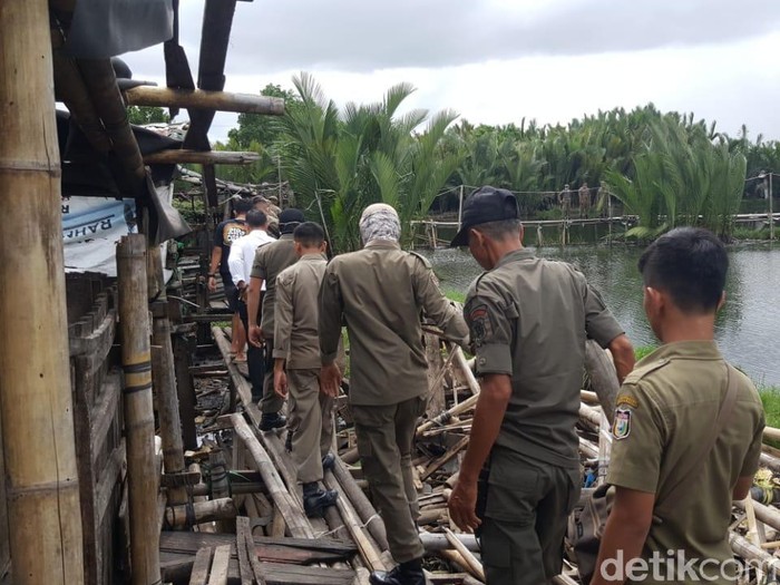 Ribuan Ternak Babi di Makassar Ditertibkan.