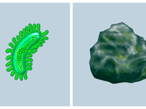 Ribut-ribut Ilmuwan Soal Emoji Baru Virus dan Batu