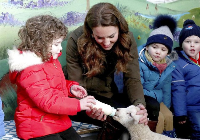 elain ular, Kate Middleton juga bermain dengan seekor domba. Ia membantu anak kecil memberikan susu kepada domba muda. (Foto: Liam McBurney/PA via AP)