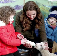 elain ular, Kate Middleton juga bermain dengan seekor domba. Ia membantu anak kecil memberikan susu kepada domba muda. (Foto: Liam McBurney/PA via AP)