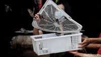 Seperti diketahui, virus corona kini tengah mewabah ke bernagai penjuru dunia dengan Wuhan, China, sebagai pusat virus tersebut.
