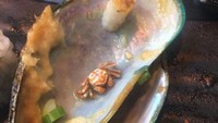 Ketika makan kerang, seseorang mendapati adanya kepiting kecil. Bukan di dalam cangkang lho, tapi benar-benar di dalam kerangnya. Foto: Bored Panda