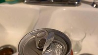 Sekaleng bir ini nampak aneh. Lihat saja saat membuka kalengnya, ada kaleng lagi! Foto: Bored Panda