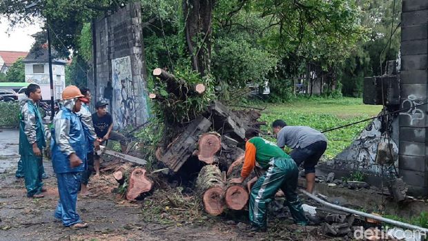Diguyur Hujan Deras, Belasan Pohon Tumbang dan Bangunan di Yogya Rusak