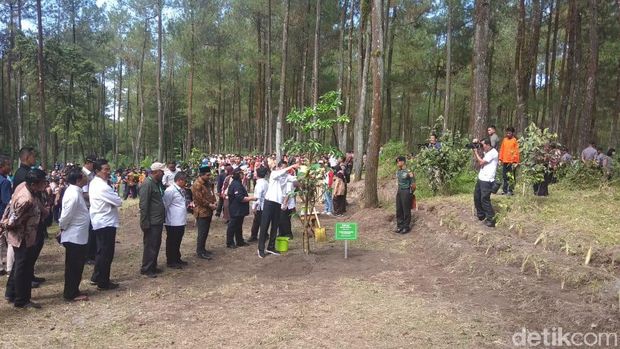 Jokowi Sambangi Merapi Pasca Erupsi, Apa Saja Agendanya?