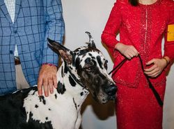 Karya Keren Juara Kontes Foto Independent Photographer