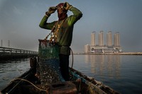 juara kontes foto the independent photographer