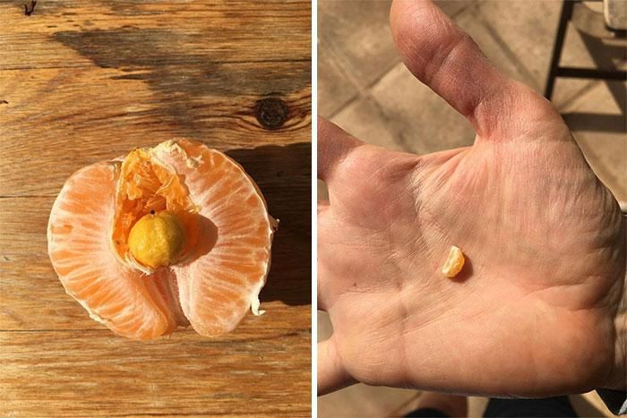 Makanan di dalam makanan Makanan di dalam makanan