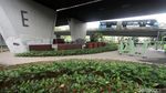 Bermain Sambil Berolahraga di Skatepark Slipi