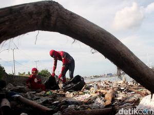 Disorot Dunia, Begini Aksi Spiderman Parepare Bersihkan Sampah di Pantai