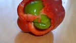 Ketika Telur Ada di Dalam Telur dan Paprika di Dalam Paprika
