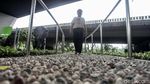Bermain Sambil Berolahraga di Skatepark Slipi