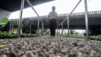Selain dilengkapi dengan beragam alat olahraga, di salah satu bagian kawasan itu juga terdapat pula fasilitas batu refleksi yang tak cuma dapat digunakan untuk orang dewasa tetapi juga anak-anak.