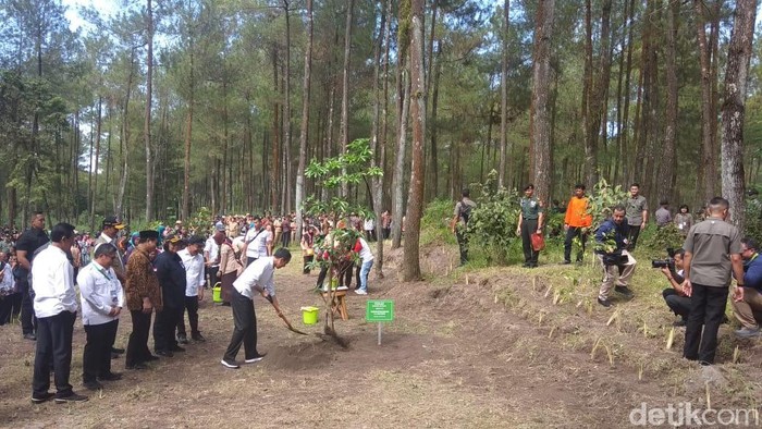 Jokowi menanam pohon Pule di TNGM Magelang, 14/2/2020