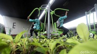 Keberadaan fasilitas fitnes itu selain untuk memanfaatkan lahan kosong juga untuk menggalakan hidup sehat di kalangan masyarakat.